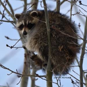 Meet your Posher, Tamara